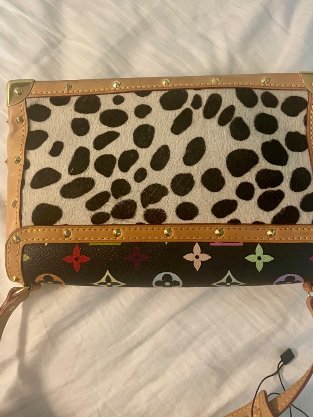 Louis Vuitton x Takashi Murakami Multicolor Monogram Dalmatian Pochette - Picture 2 of 14